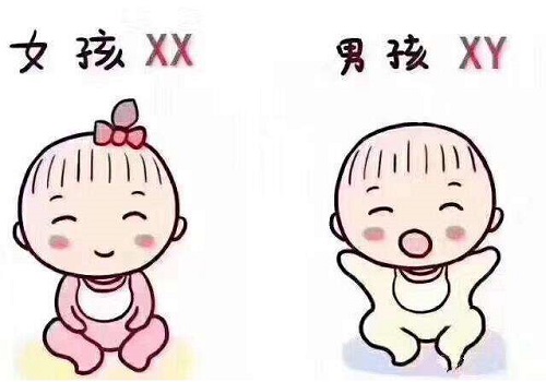 输卵管堵塞有积水能做试管婴儿助孕吗？