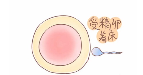 试管婴儿适用于哪些女性