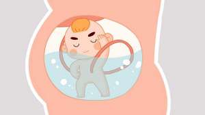 2021世界试管婴儿成功率排名一览