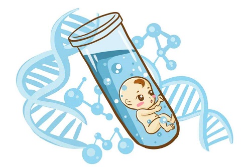 试管婴儿胚胎哪种好？和冻胚的成功率一样吗？