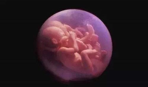 试管婴儿纳入医保了吗？试管婴儿和自然受孕有差别吗？