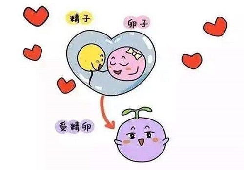 试管婴儿辅助孵化有多少种方法？