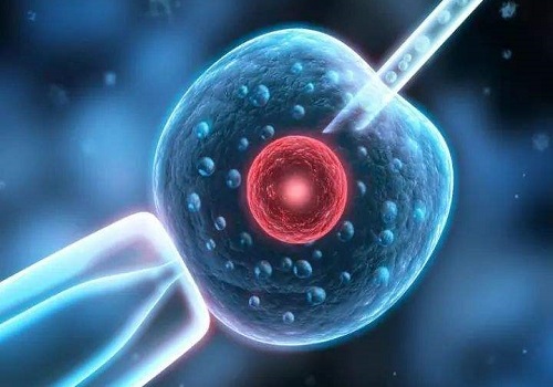 2021下半年做个试管宝宝需要多少钱？