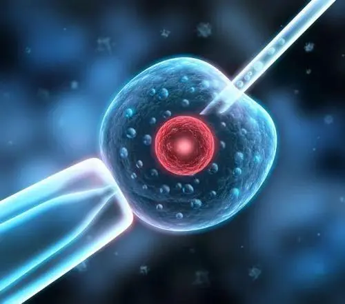 重度宫腔粘连分离术后试管的成功率多少？