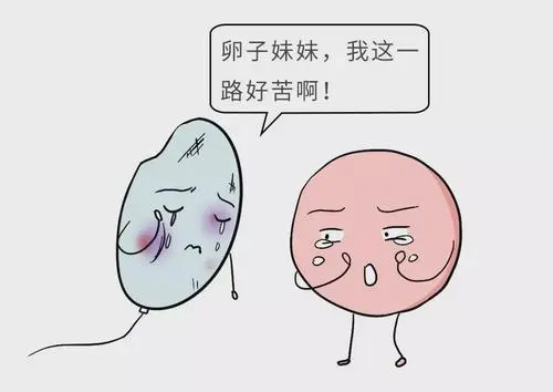 长沙试管婴儿多少钱？
