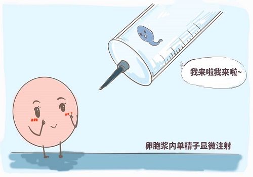 高龄做第三代试管婴儿成功率才高吗