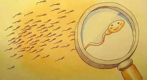 为什么34岁7次做试管婴儿都没成功？