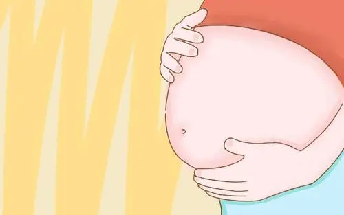 试管婴儿移植胚胎后运动还是不运动啊