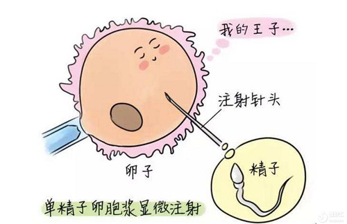 郑州第三代试管婴儿医院排行榜国内排名第几？