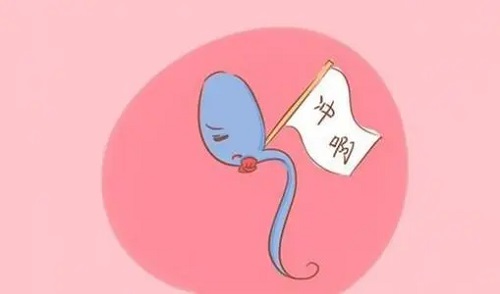 通过哪些因素可以预测试管婴儿的成功率
