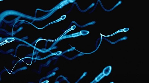 高龄三代试管婴儿成功率，可以一次怀孕？