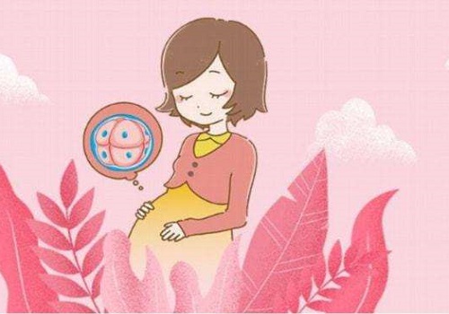 试管婴儿治疗输卵管堵塞需要多少钱呢