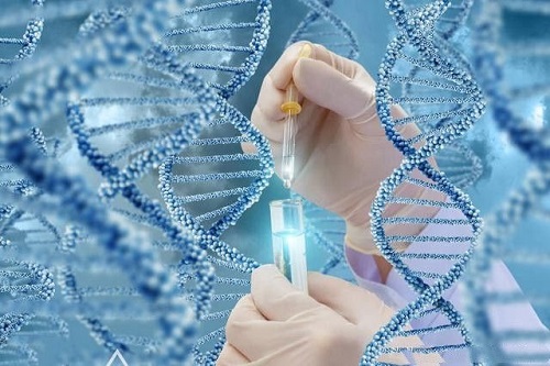 赴泰生子过程注意事项
