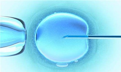 2022三代试管婴儿精子活力要达到多少？