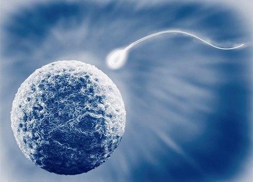 2022南京第三代试管婴儿医院费用多少？