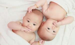 泰国试管婴儿成功率多少